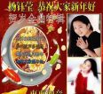 杨钰莹27个专辑29CD合辑[flac]CT