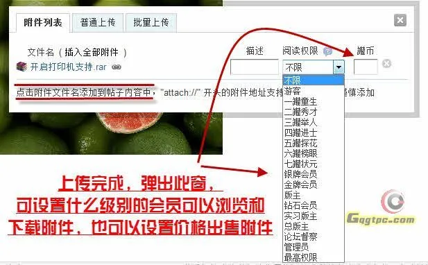 2012-1-8 15-24-30.webp