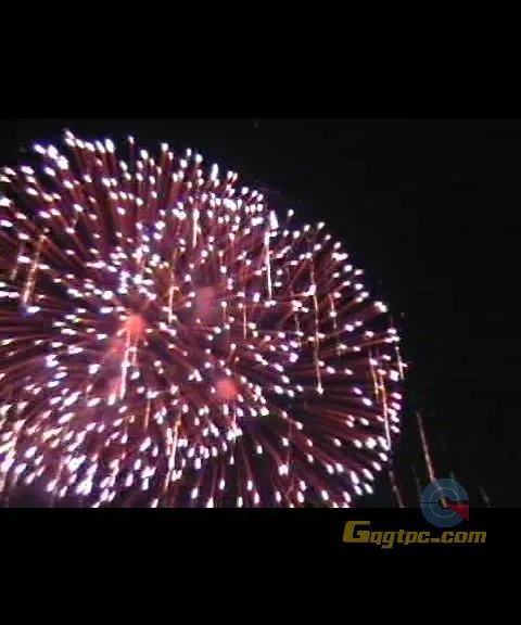 [视频素材].礼花.mpg_20110310_212131.webp